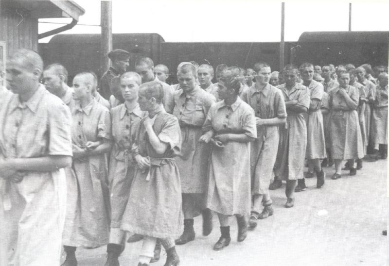 Jewish women at Auschwitz